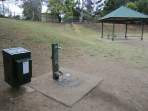 Dog park neal macrossan