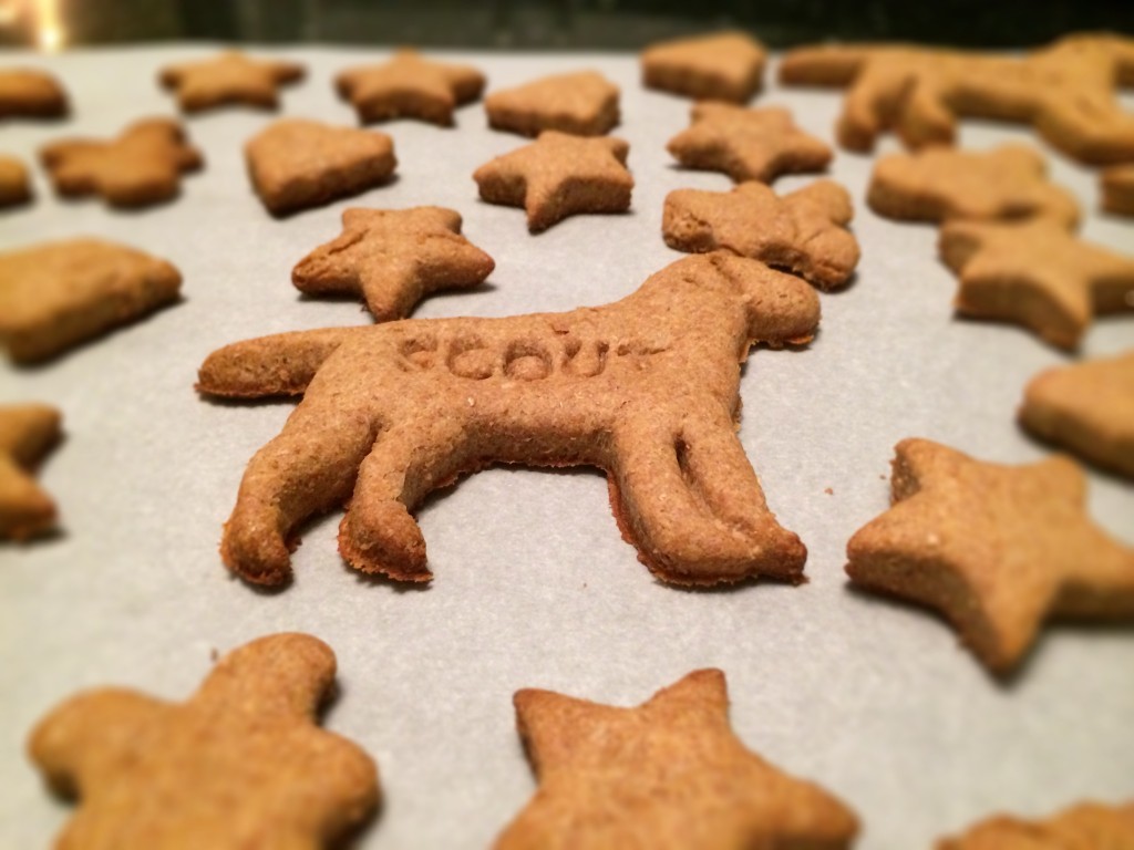 The Cookie Rookie's personalised treats for her dog Scout. What a lucky boy!