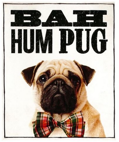 Pug Life | Pop in to Typo or visit their online store for great stocking stuffers. Pug themed stationary, ceramic dog ornaments and so much more. A popular store for kids and teens. http://cottonon.com/AU/shop-by-brand/typo/